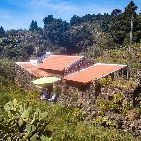 El Pinar  Casa Rural La Jarita מראה חיצוני תמונה