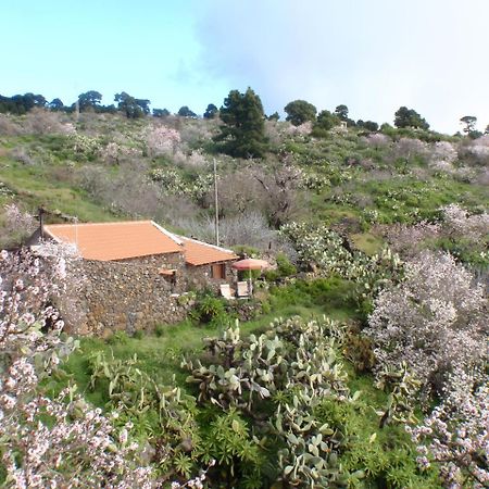 El Pinar  Casa Rural La Jarita מראה חיצוני תמונה