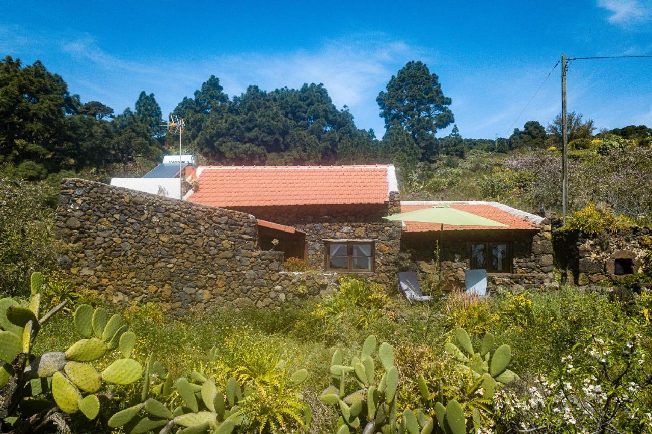 El Pinar  Casa Rural La Jarita מראה חיצוני תמונה