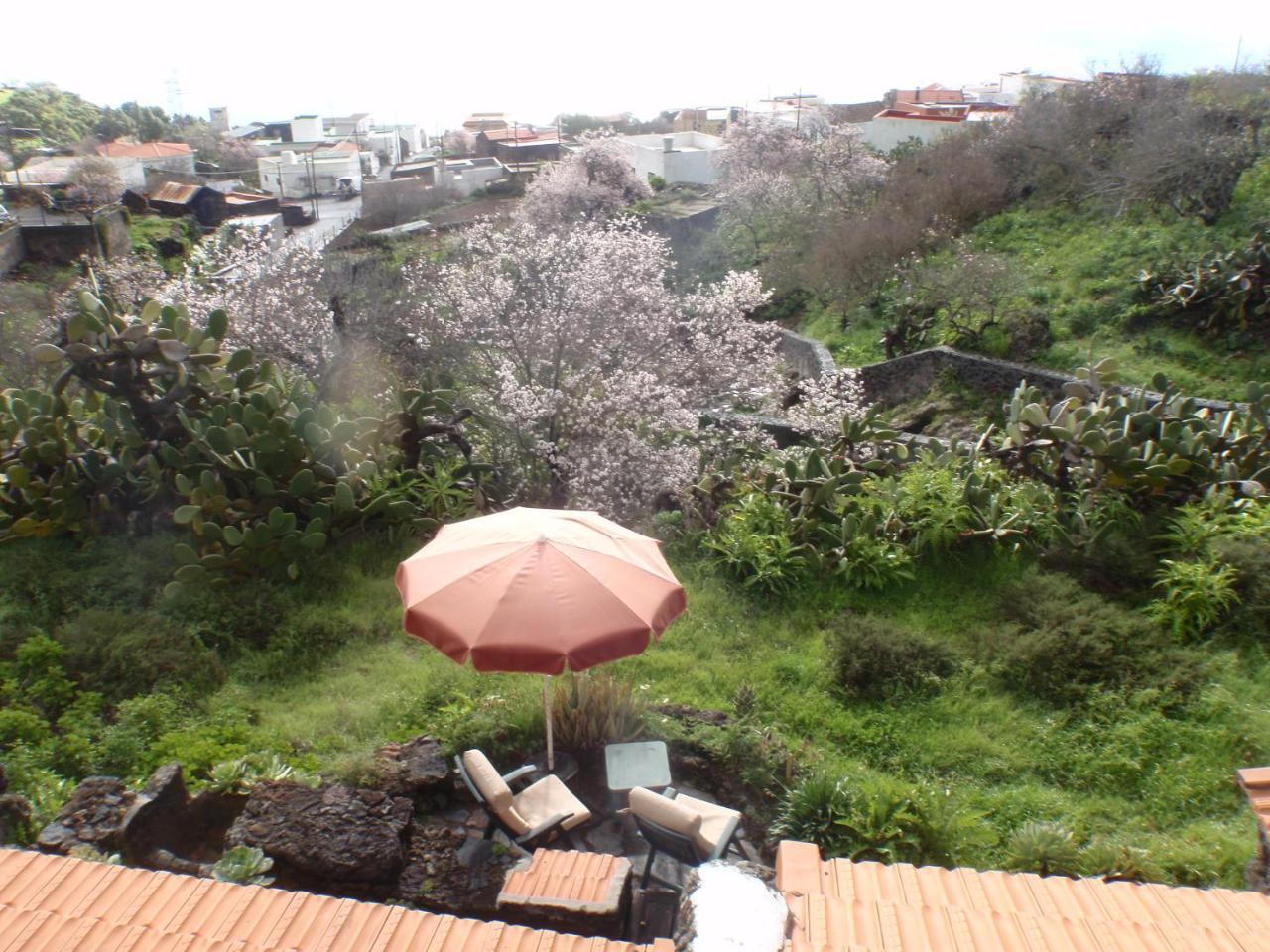 El Pinar  Casa Rural La Jarita מראה חיצוני תמונה